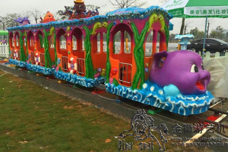 Ocean train