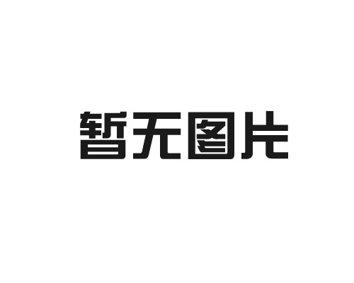 兒童娛樂機（jī）器（qì）設備高品質（zhì）的服務項目